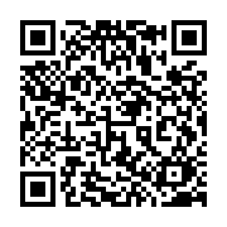 QR code for 787MSO