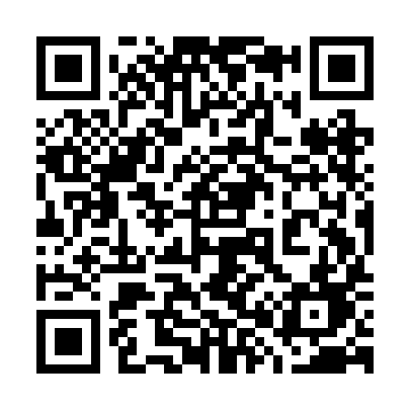QR code for 789BID