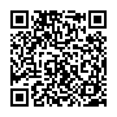 QR code for 795PVM