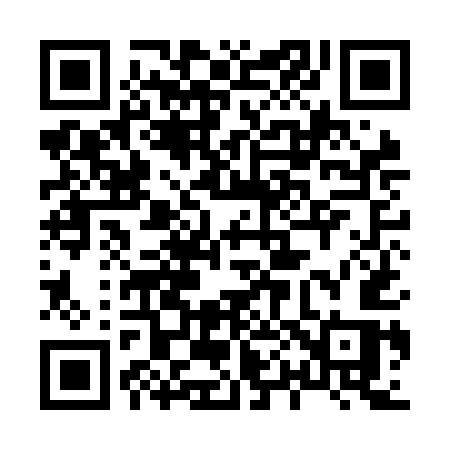 QR code for 809NES