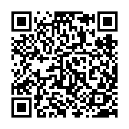 QR code for 810VIZ