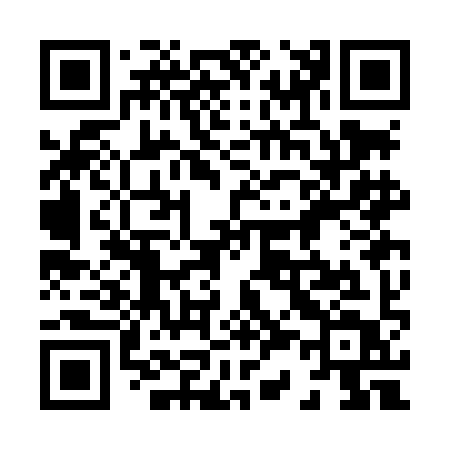 QR code for 833LIT