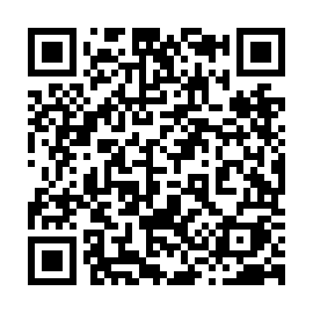 QR code for 838NOI