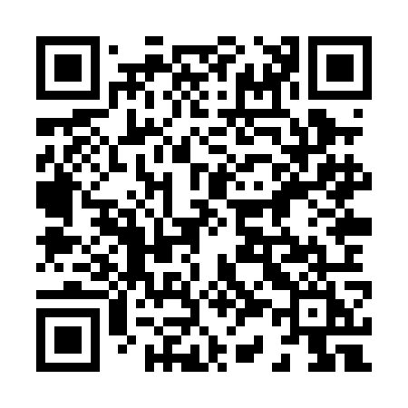 QR code for 838POI