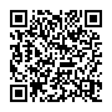 QR code for 838YST
