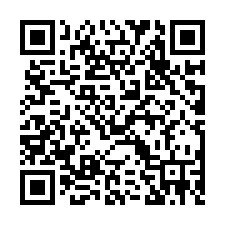 QR code for 863ISV