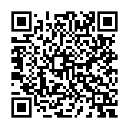 QR code for 863MVP