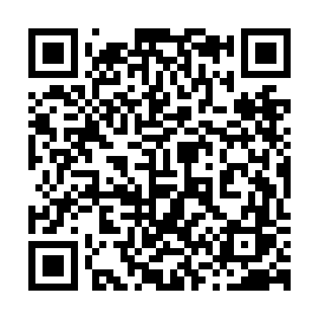QR code for 869NFS