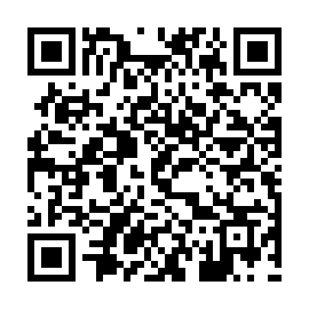 QR code for 875BIS