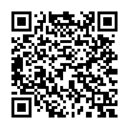 QR code for 905TSP