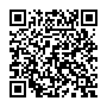 QR code for 911CSV