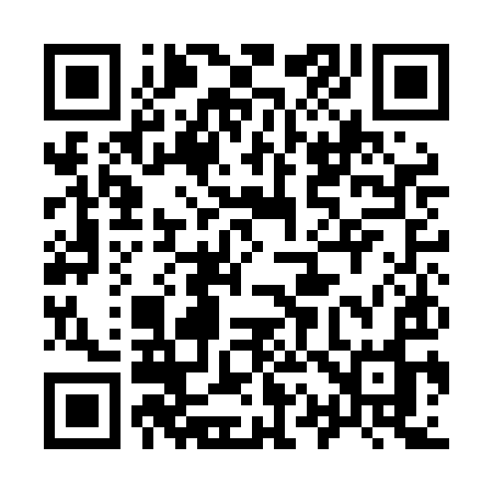 QR code for 911LIO