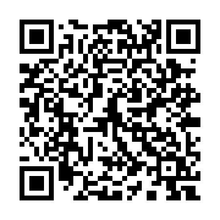 QR code for 911PIV