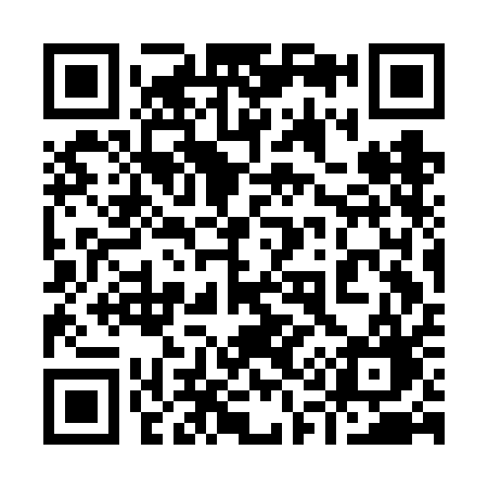QR code for 913FAG