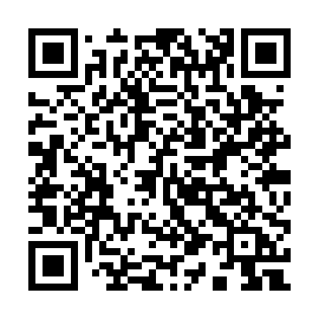 QR code for 913PPA