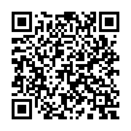 QR code for 919AUX