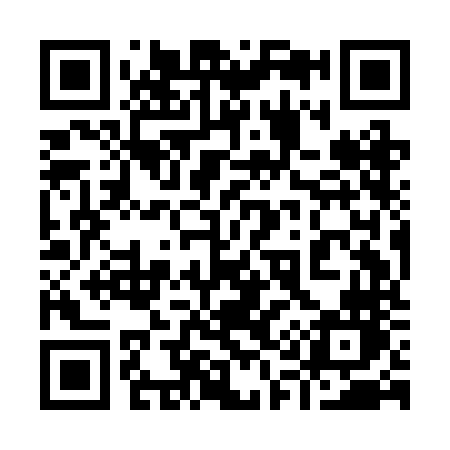 QR code for 919BNN