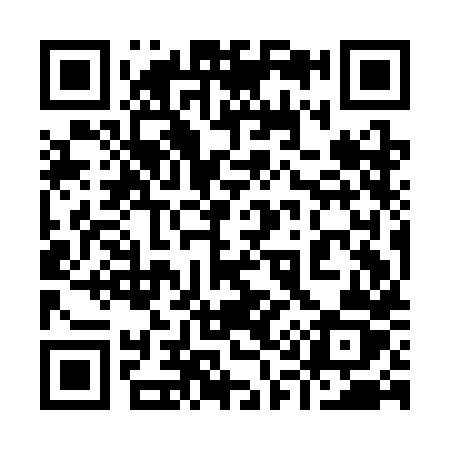 QR code for 919CHZ