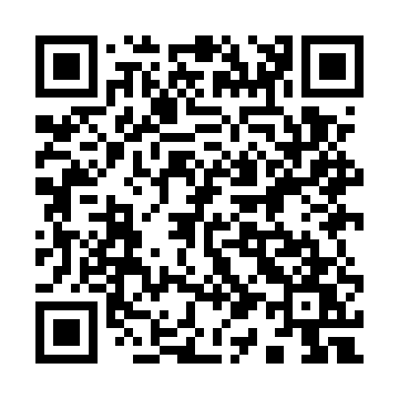 QR code for 919EUW