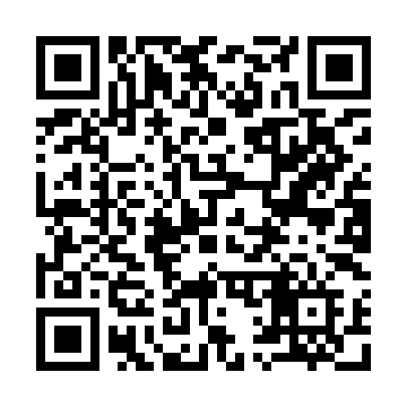 QR code for 919IIF
