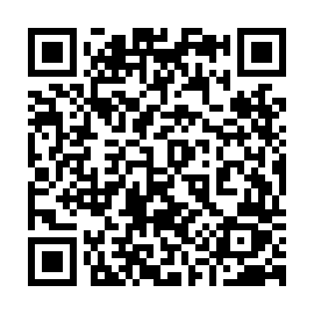 QR code for 919LDZ