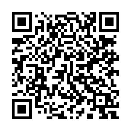 QR code for 919LJP