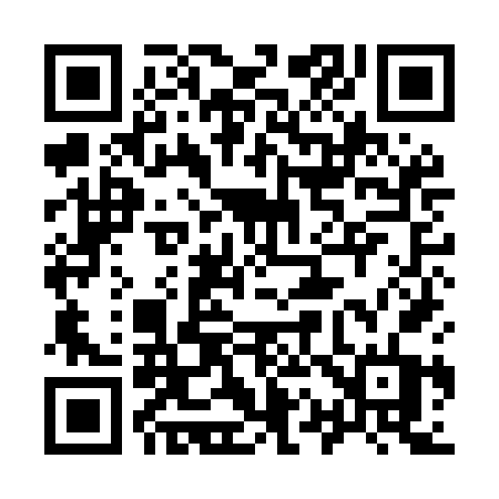 QR code for 919MFT