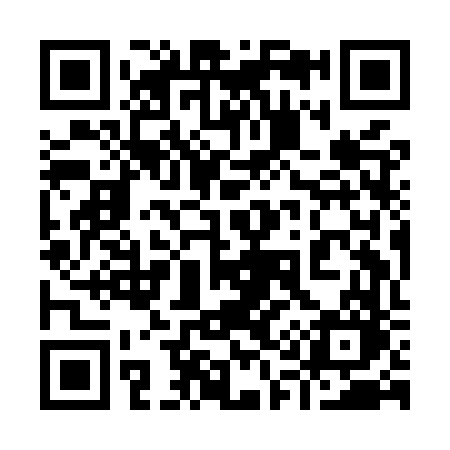 QR code for 919MVO