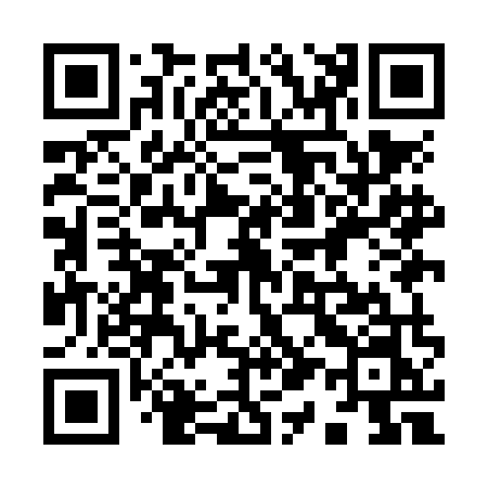 QR code for 919NMN