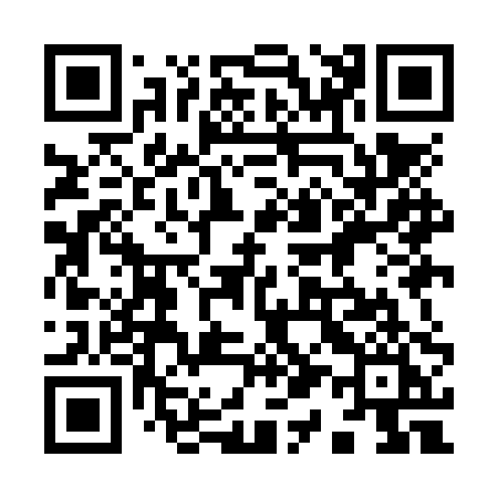 QR code for 919NPI