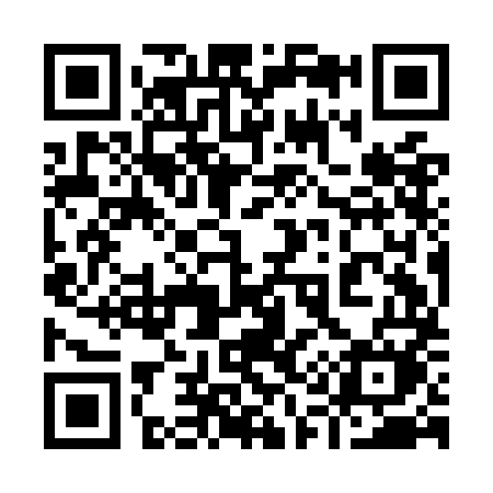 QR code for 919OMM
