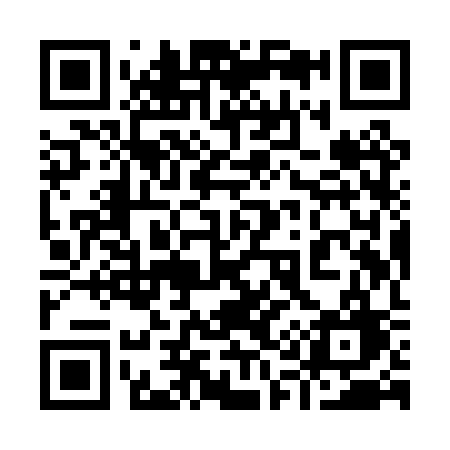 QR code for 919PSG
