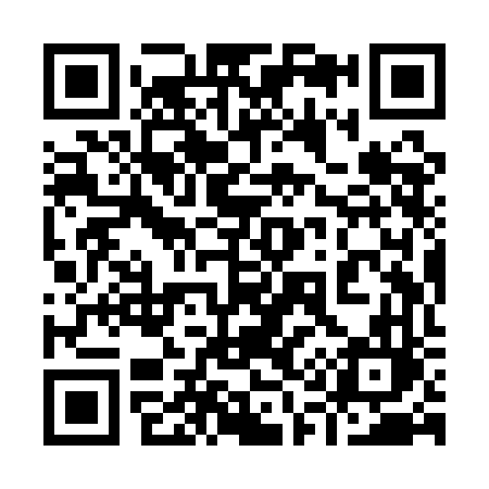 QR code for 919QFL