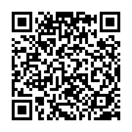 QR code for 919QQI