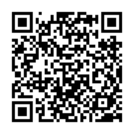 QR code for 919RIM