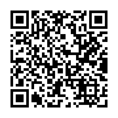 QR code for 919YOK