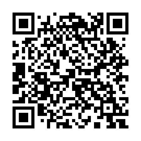QR code for 938BSM