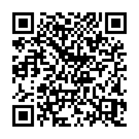 QR code for 938MLP