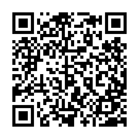 QR code for 950DMT