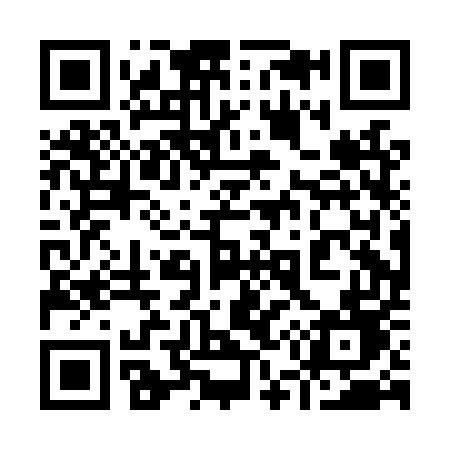 QR code for 950LUD