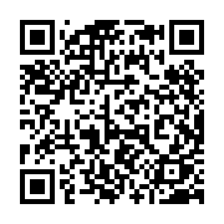 QR code for 950PAP