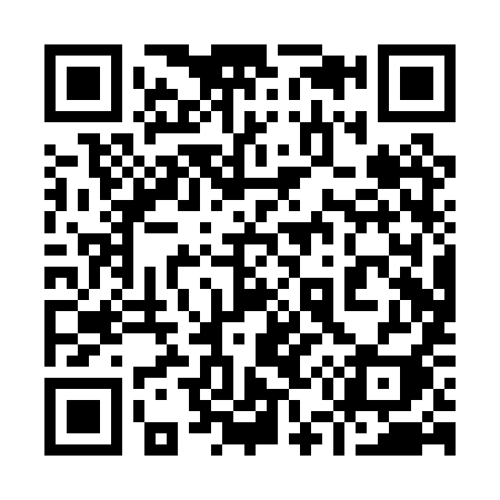 QR code for 950PYI
