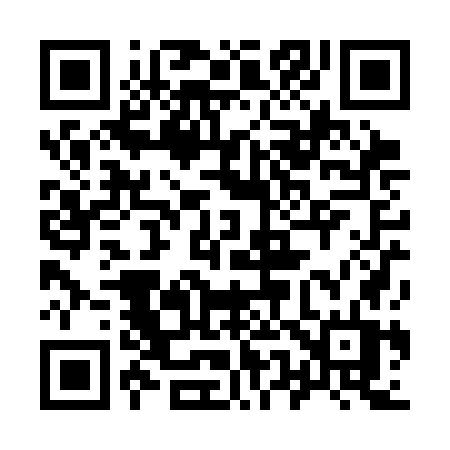 QR code for 950SGT