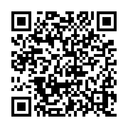 QR code for 951FIZ