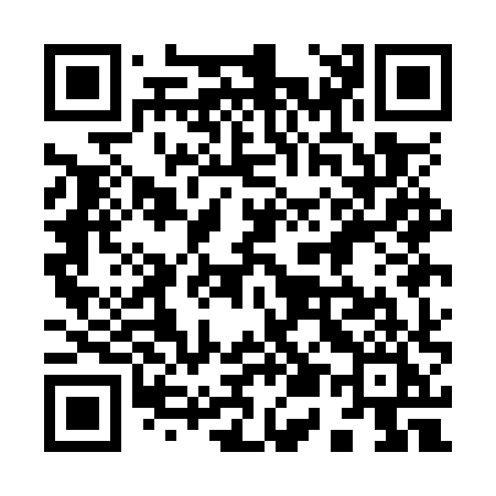 QR code for 951OXI