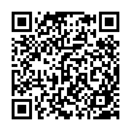 QR code for 951PIG