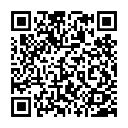 QR code for 953DEX