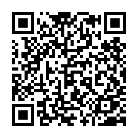 QR code for 953DIU