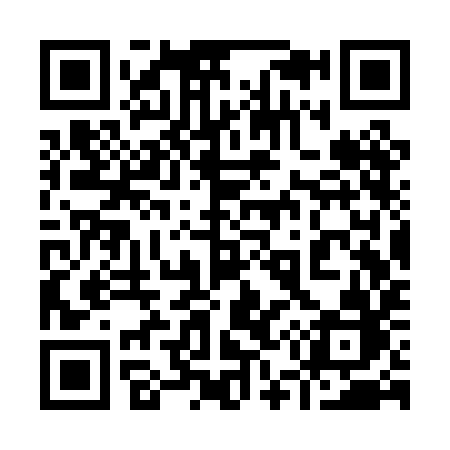 QR code for 953PIB