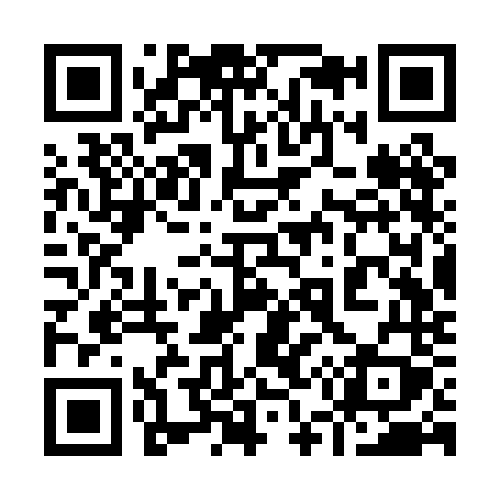 QR code for 953PNY
